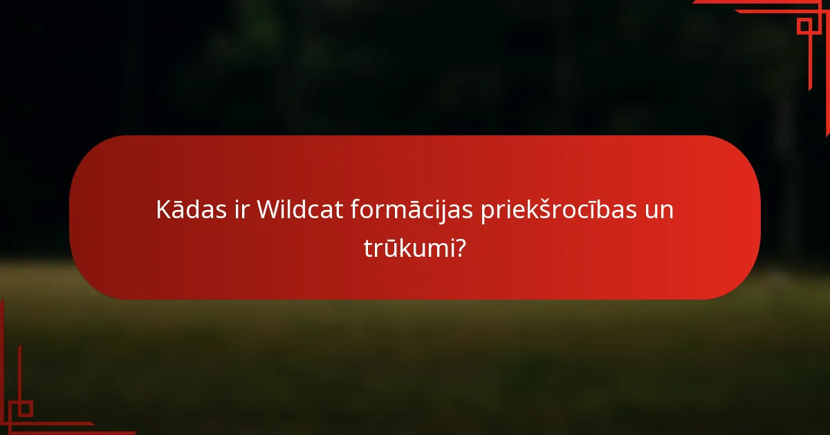 Kādas ir Wildcat formācijas priekšrocības un trūkumi?