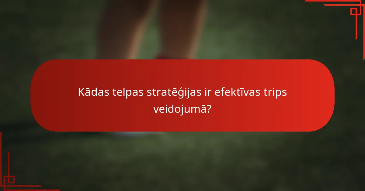 Kādas telpas stratēģijas ir efektīvas trips veidojumā?